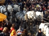 Fastnachtszug 2011