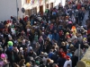 Fastnachtszug 2011