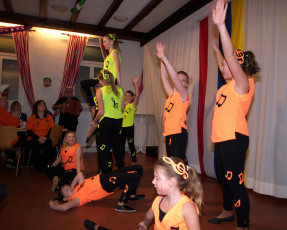Aktionärsversammlung 2013