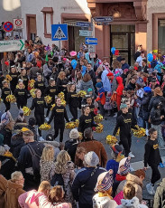 212_75 D.V.A.S. Frankfurt Pirates e.V.